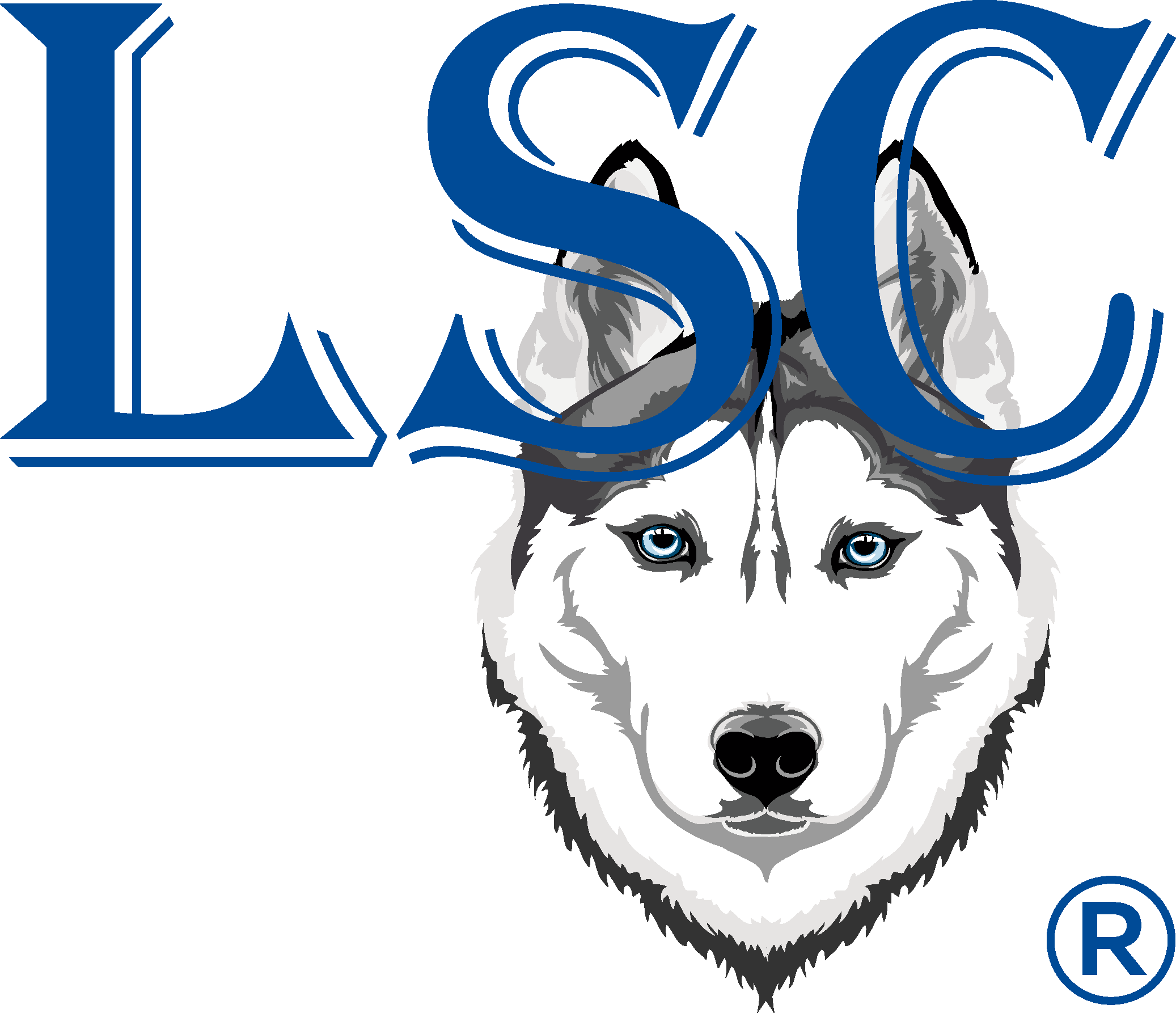LSC Company